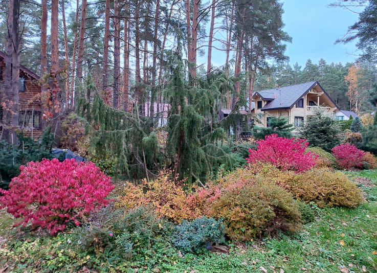 Autumn_26